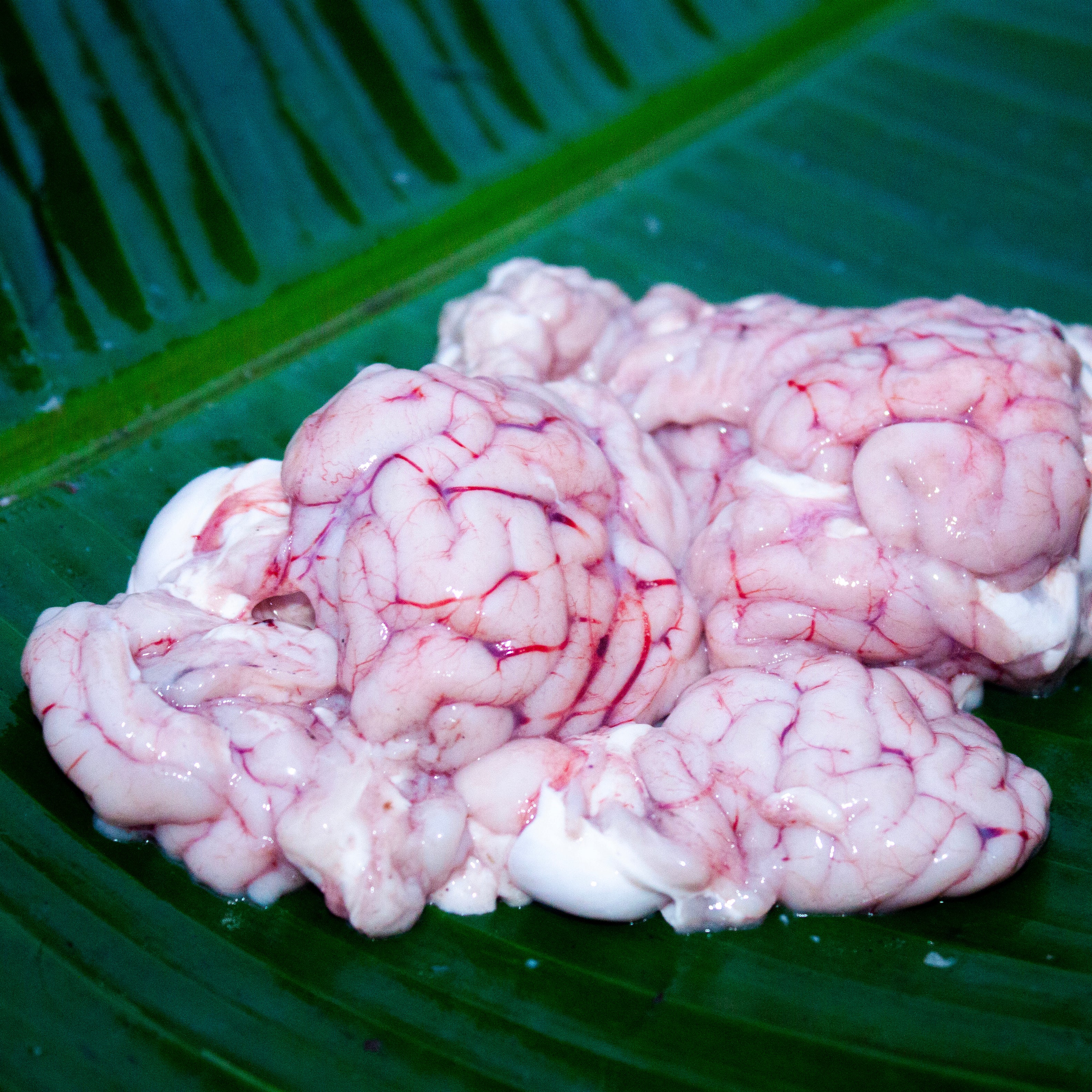 Mutton Brain (Bheja)