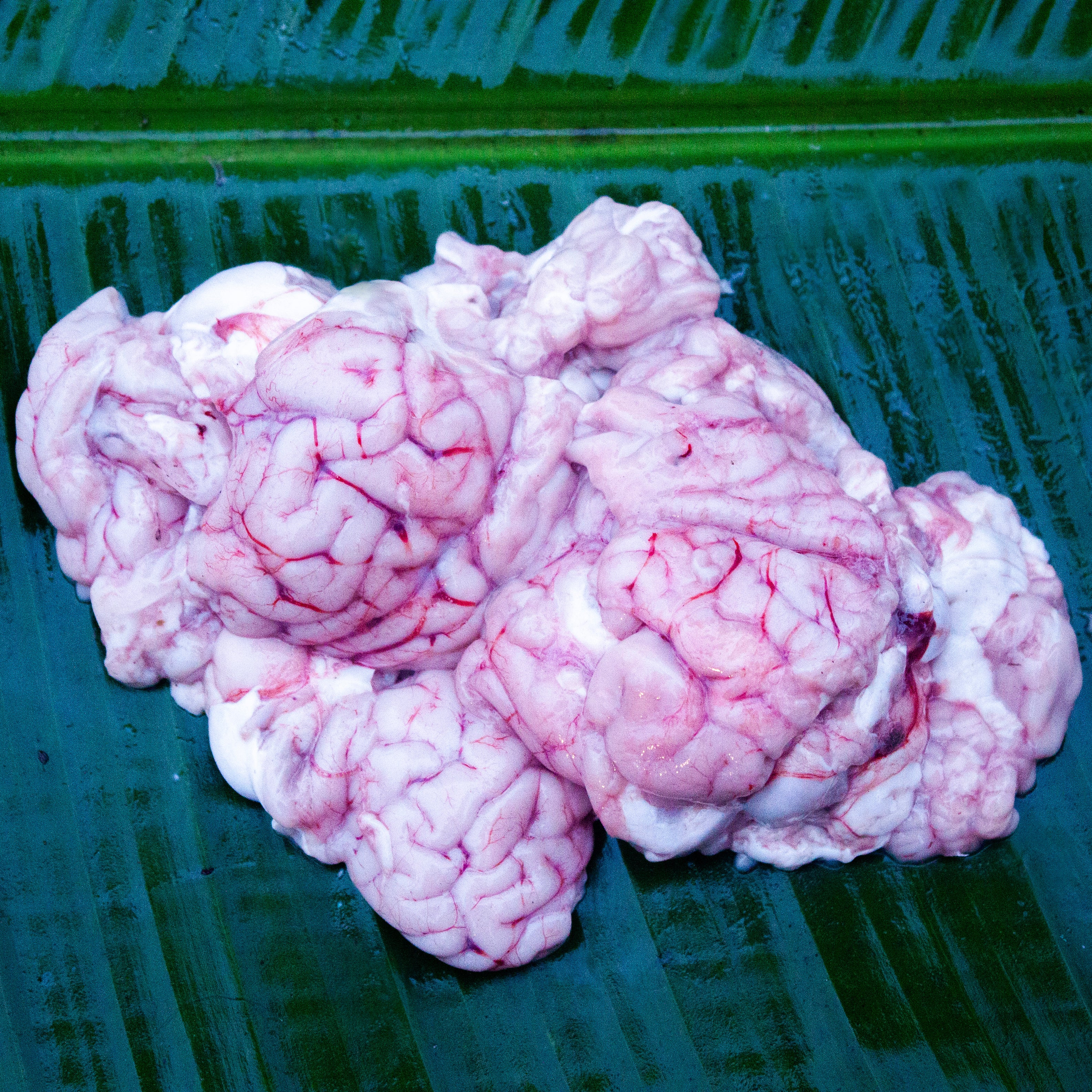 Mutton Brain (Bheja)