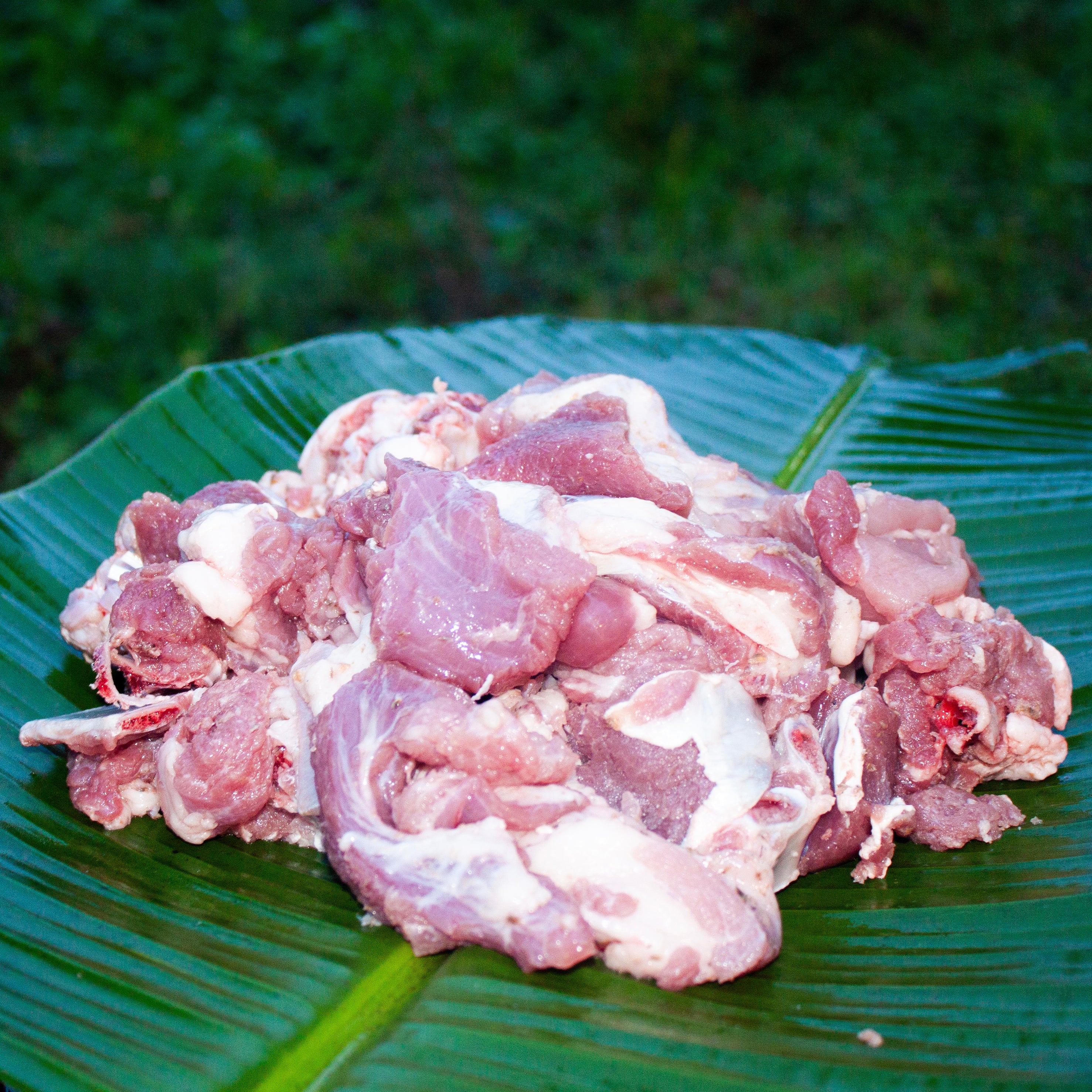 Gudde Mamsa Original - Naati Style